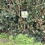 N0000-3nd Appt 4 Pieces - 4 Couchages Noirmoutier En L'ile アパート