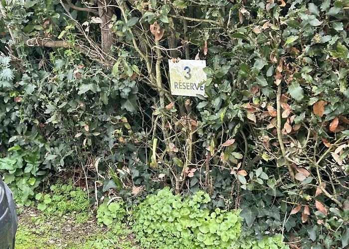 N0000-3nd Appt 4 Pieces - 4 Couchages Noirmoutier En L'ile Apartment